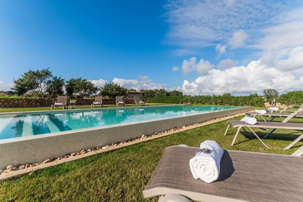 Country house Ideal Property Mallorca - Pleta Manacor