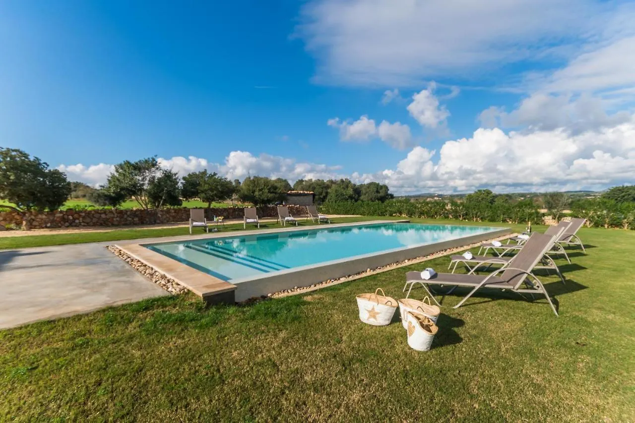 Ideal Property Mallorca - Pleta Manacor  Španělsko