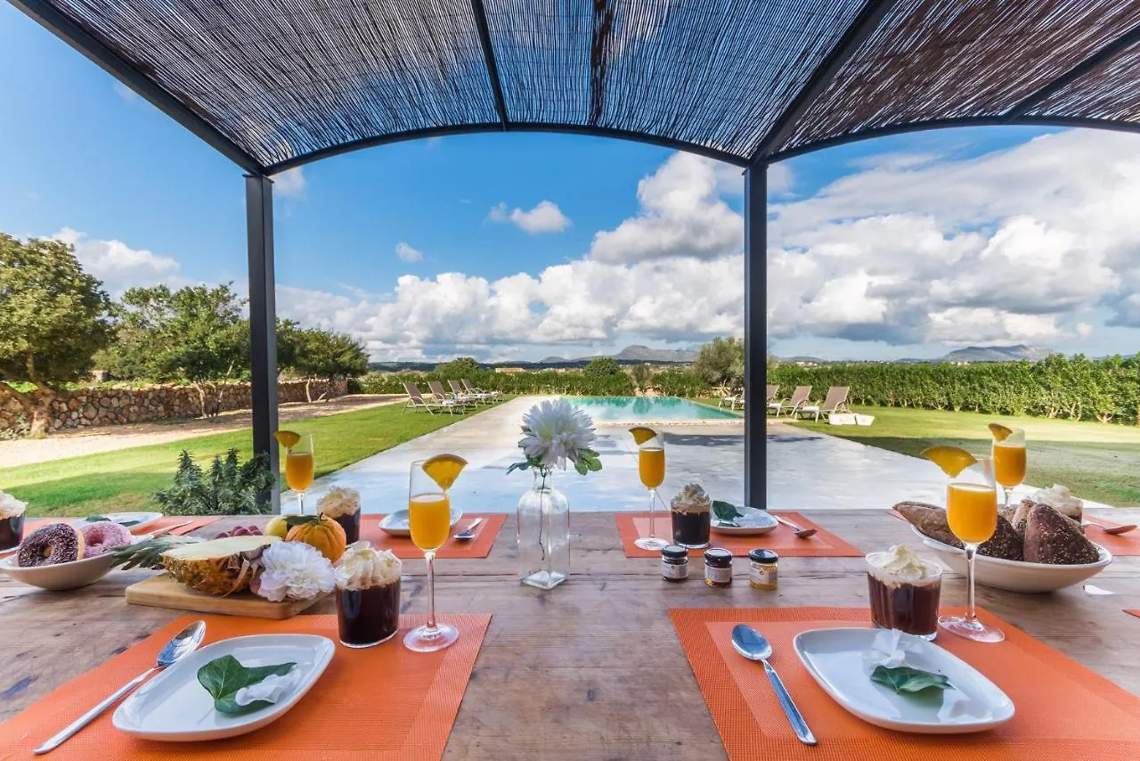 Ideal Property Mallorca - Pleta Manacor  Country house Manacor (Mallorca)