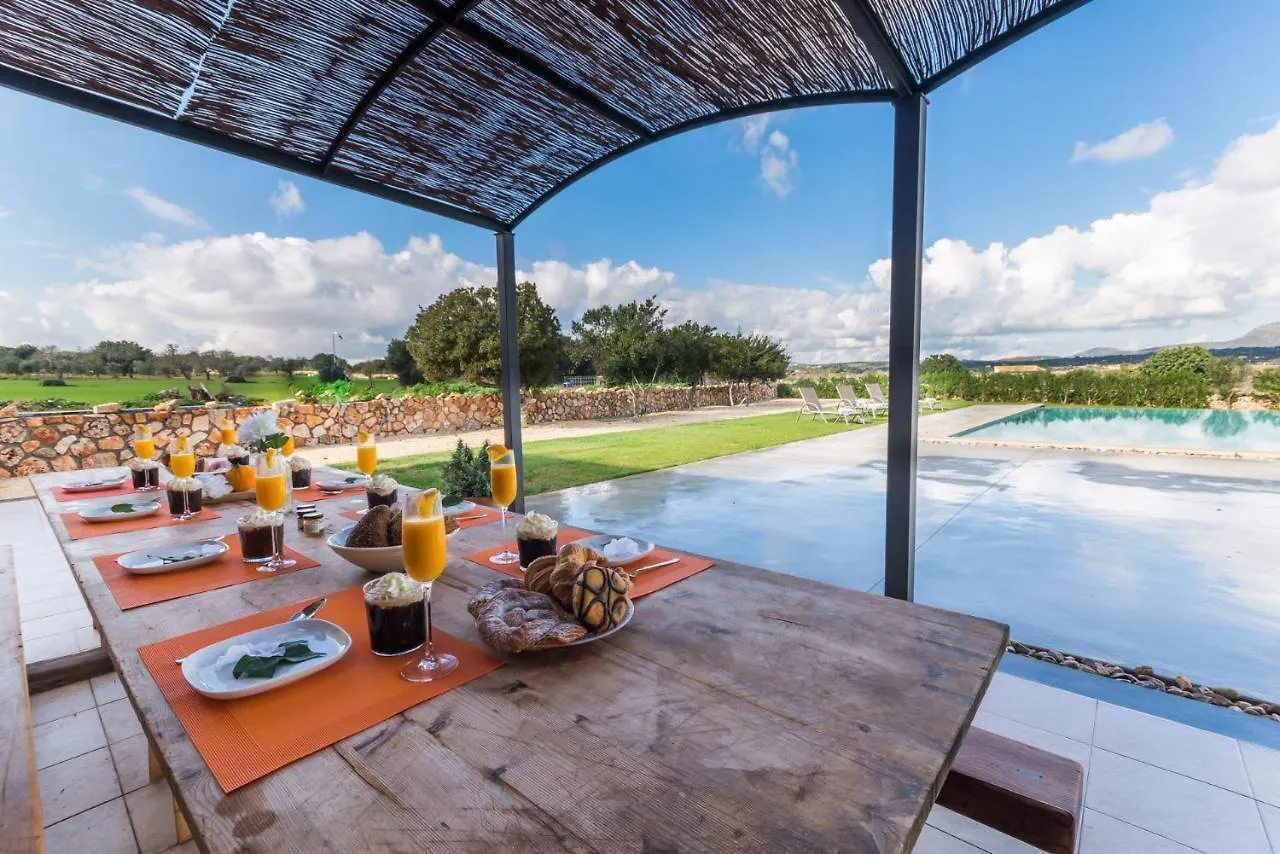 Ideal Property Mallorca - Pleta Manacor  Manacor (Mallorca)