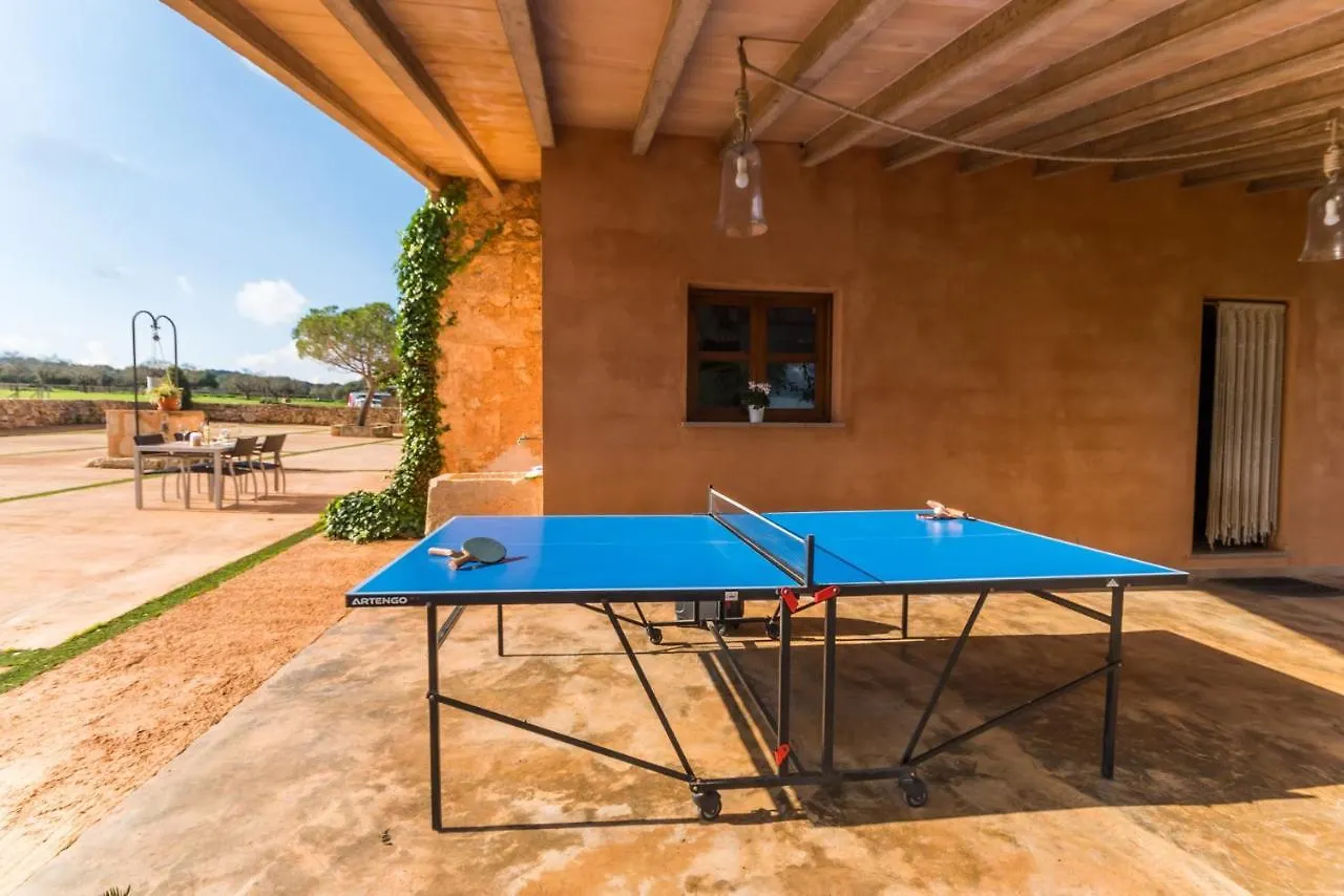 Ideal Property Mallorca - Pleta Manacor  Španělsko