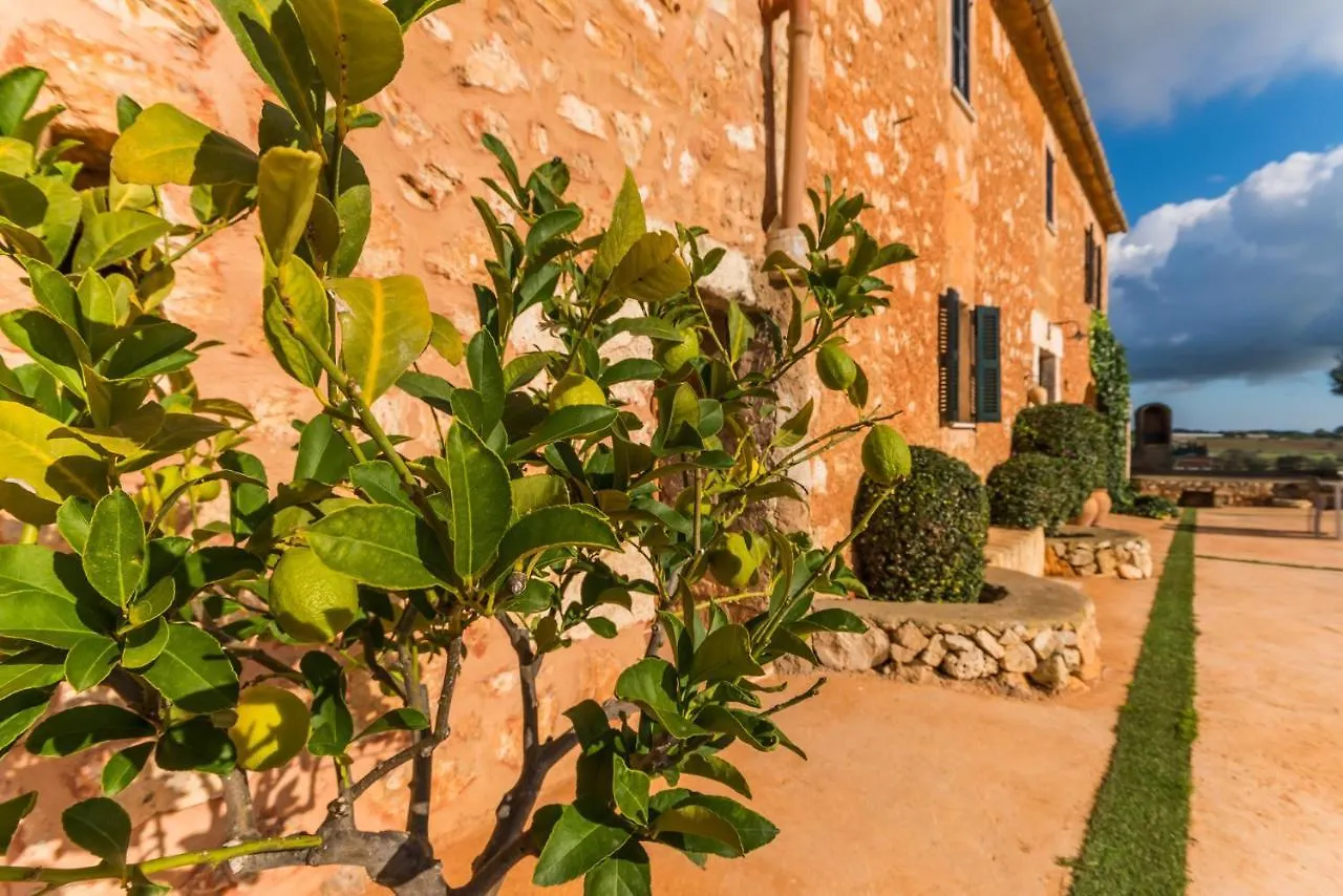 Ideal Property Mallorca - Pleta Manacor  0*, Manacor (Mallorca) Spain