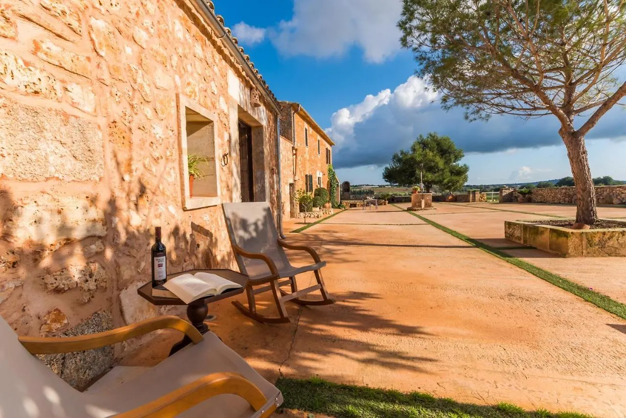 Ideal Property Mallorca - Pleta Manacor  Manacor (Mallorca)