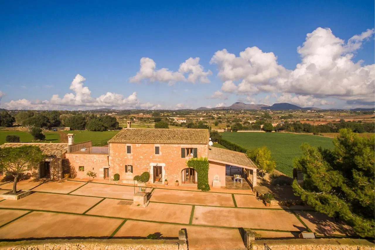Country house Ideal Property Mallorca - Pleta Manacor  Spain