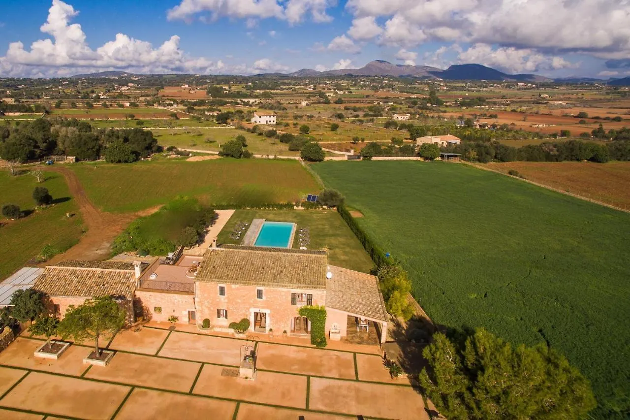 Ideal Property Mallorca - Pleta Manacor  Manacor (Mallorca)