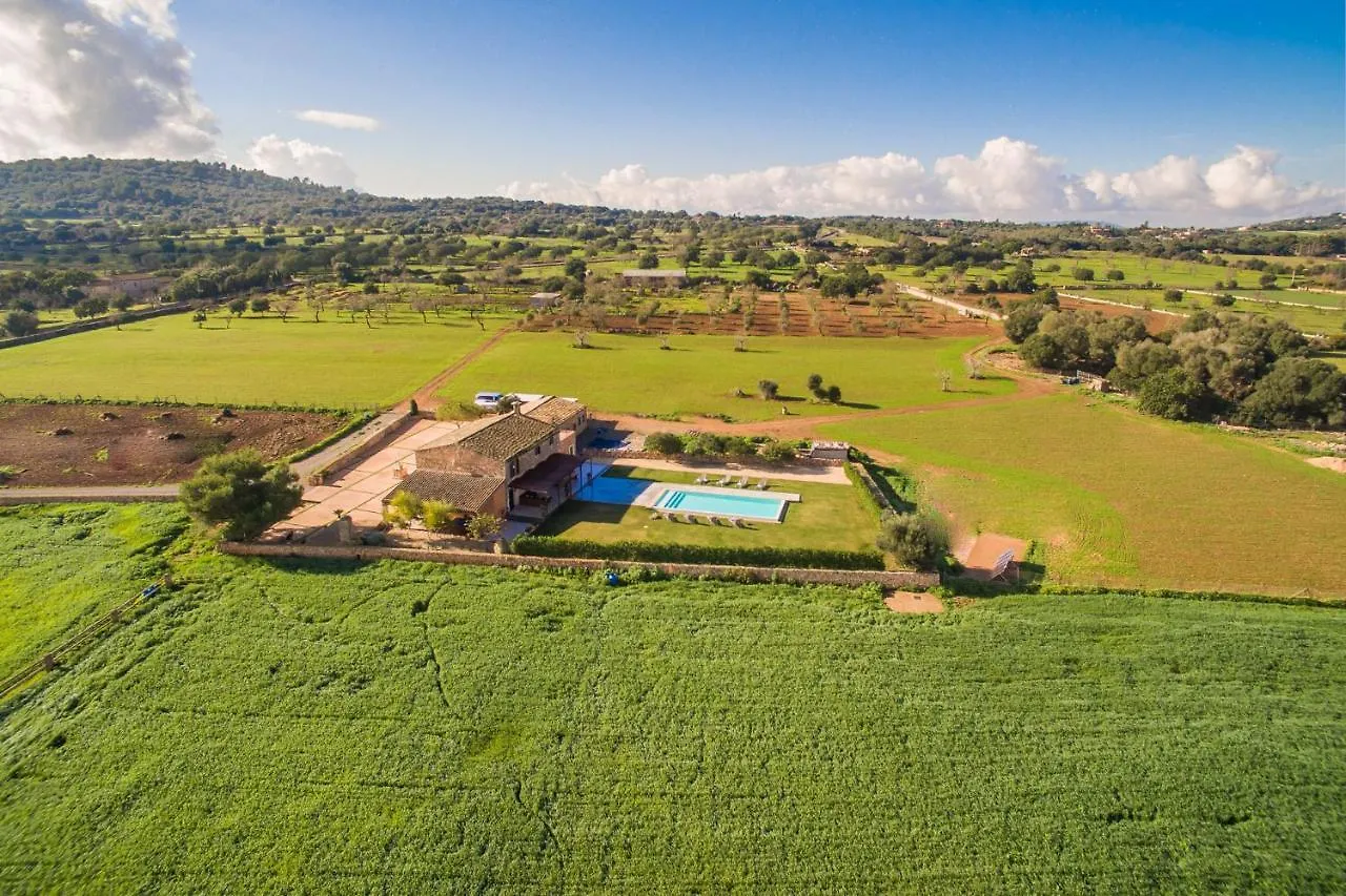 Country house Ideal Property Mallorca - Pleta Manacor